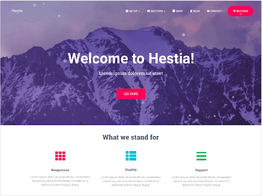 Hestia WordPress Ecommerce theme
